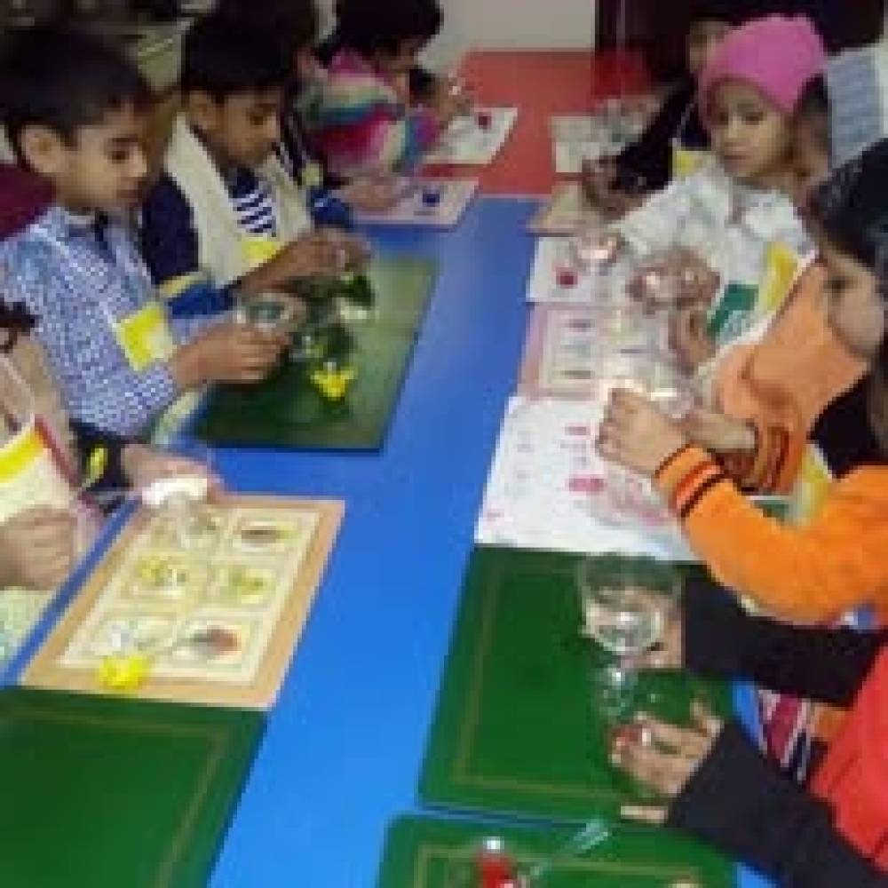 Little artists, big imaginations